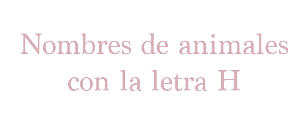 Nombres De Animales Con La Letra H